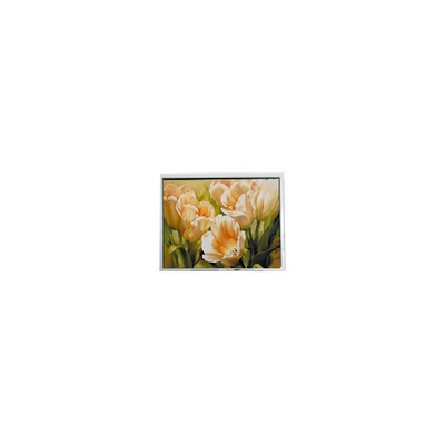Guter Preis Warmverkauf 5,0 Zoll COM50T5117GTC 320*240 67 Pins LCD Bildschirm Online