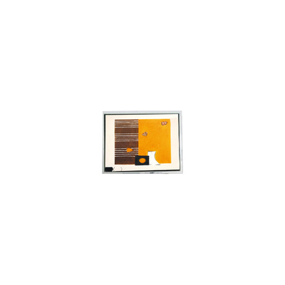 Guter Preis COM57H5M55KSC 320*240 5,7 Zoll LCD-Bildschirm für Hochhelligkeit im Außenbereich Online