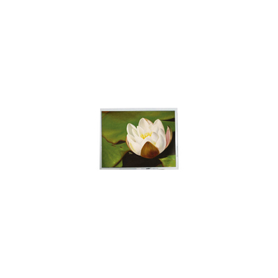 Guter Preis 640*480 5,7 Zoll COM57H5M87KTC 262K 60Hz LCD Touch Display Online