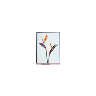 Guter Preis 9.0 Zoll C090NWP1 R0 800*480 TFT-LCD-Display Online