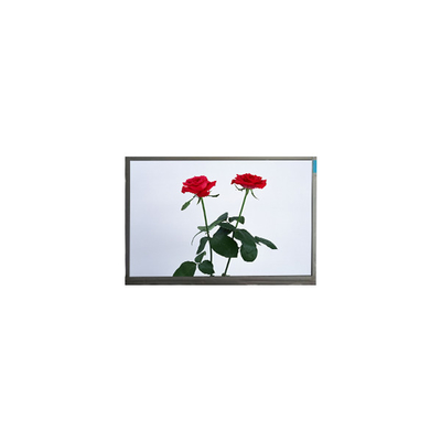 Guter Preis G101GWWF R0 10,1 Zoll 60Hz TFT-LCD-Bildschirm Online