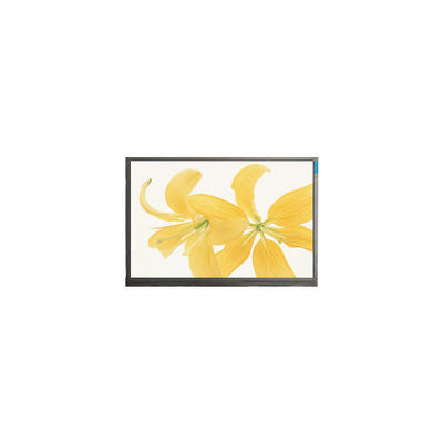 Guter Preis 10.4 Zoll LPM104GNX1 R1 TFT LVDS 262K LCD-Panelmonitor Online