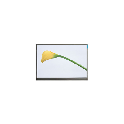 Guter Preis 800*480 M070SWP1 R3 7,0 Zoll 50 Pins TFT LCD Bildschirm Online