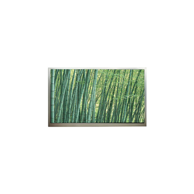 Guter Preis 1024*768 10,4 Zoll M104GNX2 R1 LCD-Bildschirm Online