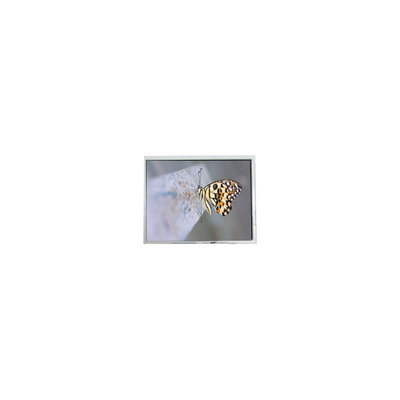 Guter Preis FG050722DSSWDGL2 640*480 5,7 Zoll 20 Pins LCD Bildschirm Teile Online