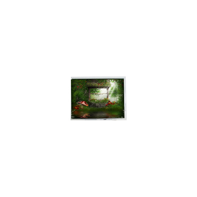 Guter Preis HC020-050T2BZB 5,0 Zoll 720*1280 LCD-Bildschirm mit Industrie Online
