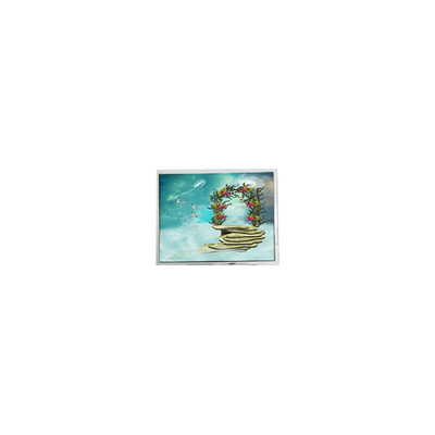 Guter Preis TFT1N5918 6,9 Zoll 800*480 LVDS LCD Bildschirm Monitor Online