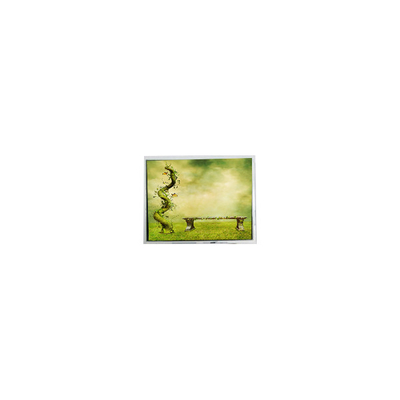 Guter Preis Original 7,0 Zoll TFT7D0179 600*1024 16,7 M LCD-Bildschirm LCD-Display Online