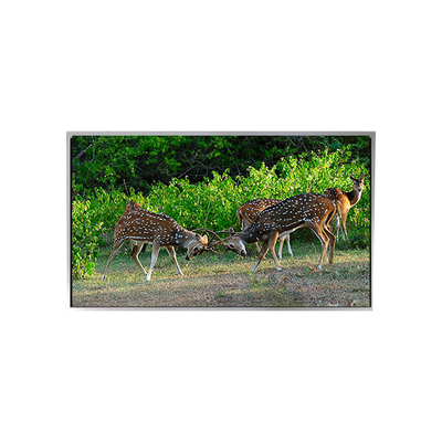 Guter Preis Warm verkaufen 21,3 Zoll 1200 * 1600 P213UXF1MA10 LVDS LCD-Monitor Online