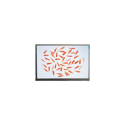 Guter Preis neue 6,9 Zoll M069AWA1 R0 1280*720 LCD-Bildschirm LCD-Panel Online