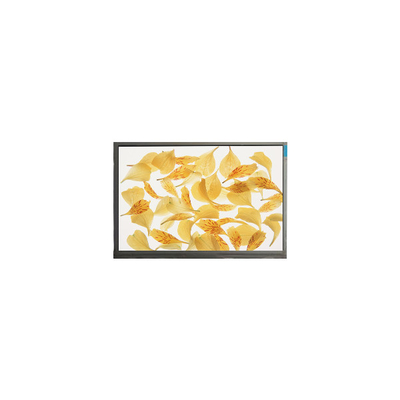 Guter Preis M090AWA7 R0 9,0 Zoll 1280*720 16,7 M WLED-LCD-Panel Online