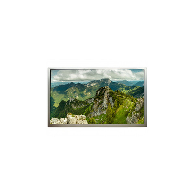 Guter Preis QP101BS01-1 10,1 Zoll 800*1280 60Hz LCD-Bildschirm Online