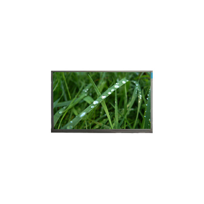 Guter Preis 10.1 Zoll LCD-Bildschirm N101BGE-L31 262K LCD-Monitor Online