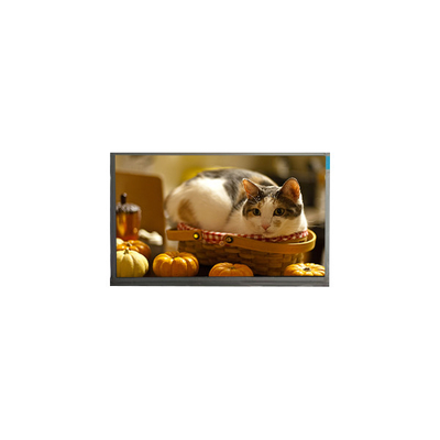 Guter Preis N140BGE-P23 14,0 Zoll 60Hz 262K LCD-Panel Bildschirm Online