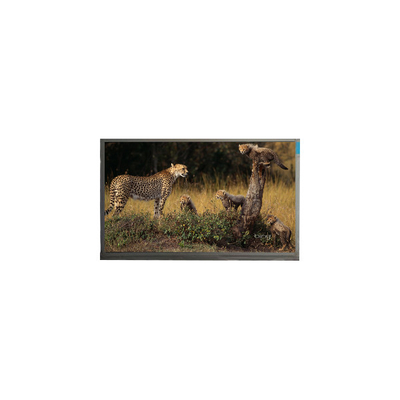 Guter Preis 1920*1080 14,0 Zoll N140HCA-E5B WLED-LCD Modul Online