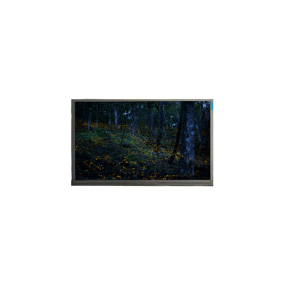 Guter Preis ORIGINAL 15,6 Zoll N156BGE-P21 1366*768 40 Pins LCD Bildschirm Online