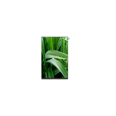 Guter Preis P101DEA-AZ1 10,1 Zoll 800*1280 500 cd/m2 LCD-Bildschirm Online