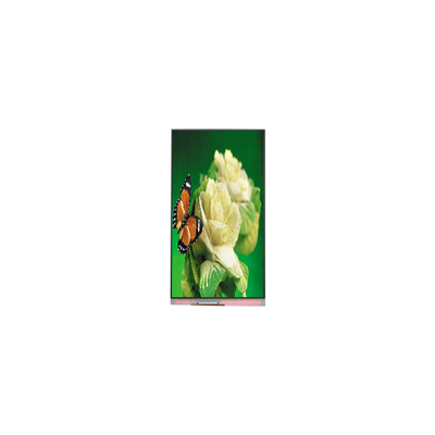 Guter Preis P101KDA-AF0 1200*1920 10,1 Zoll 400 cd/m2 60Hz LCD-Monitor Online