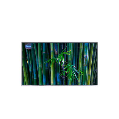 Guter Preis B116XAT01.0 11,6 Zoll 1366*768 tft LCD-Display-Modul Online