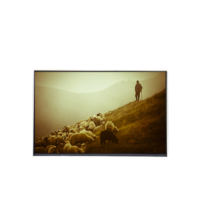 Guter Preis B170WP04 V0 17,0 Zoll LCD-Display-Platte 1440*900 LCD-Bildschirm Online