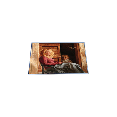 Guter Preis N156HAN01.0 15,6 Zoll 1920*1080 LCD-Bildschirm Online