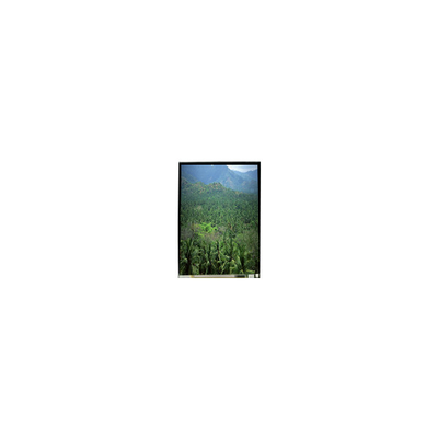Guter Preis LS055B3SX04Z 5,5 Zoll 1920*3664 TFT-LCD-Bildschirm Online