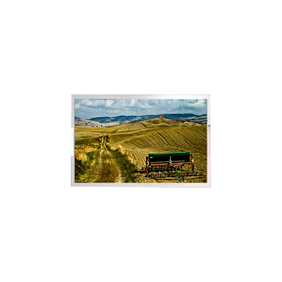 Guter Preis 10.1 Zoll LCD-Panel-Display RV101FBB-N02-V1 neuer LCD-Bildschirm Online