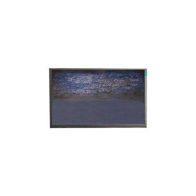 Guter Preis U055SWRA-1 5,5-Zoll-Lcd-Bildschirm-Panel 720*1440 Lcd-Displaymodul Online