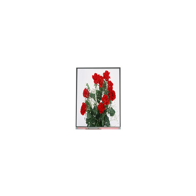 Guter Preis C065SWR1-0 6,5-Zoll-Lcd-Bildschirm 720*1560 LCD-Display Online