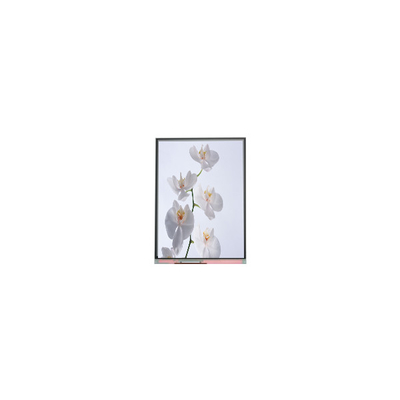 Guter Preis C060SWR6-1 6,0 Zoll 720*1528 LCD-Bildschirm Online