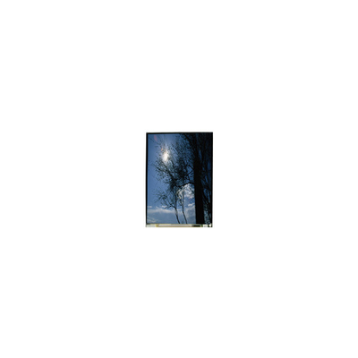 Guter Preis LS055T1SX09 5,5 Zoll 1080*1920 TFT-LCD-LCD-Bildschirm Online