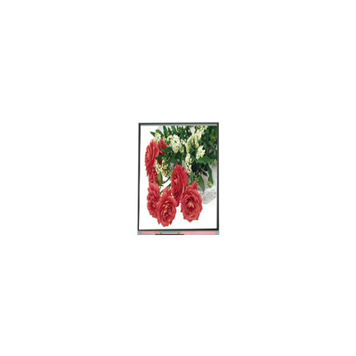 Guter Preis 5.5 Zoll C055SWY2-1 LCD-Bildschirm für Mobiltelefon Online