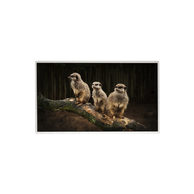 Guter Preis HR236WU1-310 23,6 Zoll 1920*1080 LCD-Bildschirm TFT-LCD-Panel Online