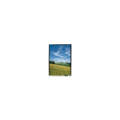 Guter Preis 5.0 Zoll LS050T3SX01 1080*1920 LCD-Bildschirm Online