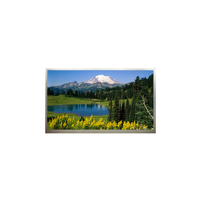 Guter Preis 18.4 Zoll 1920*1080 LCD-Display N184H4-L04 Online