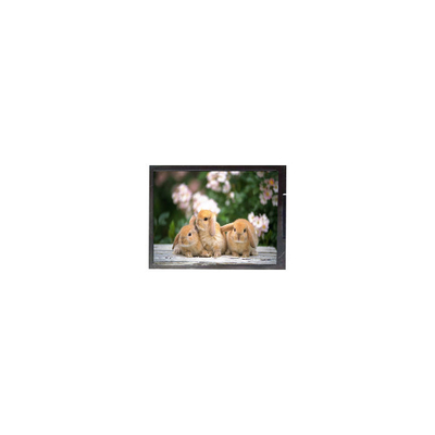 Guter Preis 11.6 Zoll B116XAK02.0 1366*768 Laptop-LCD-Bildschirm Online