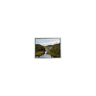 Guter Preis Neues 12,1-Zoll EV121WXM-N80 1280*800 Auflösung LCD-Anzeigefeld Online