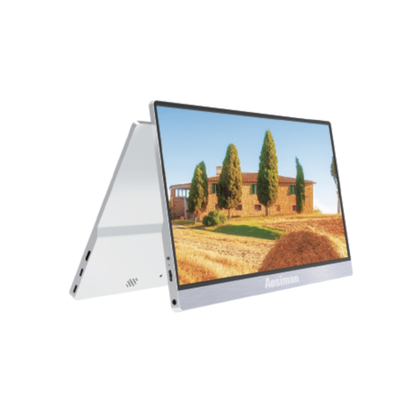 Guter Preis 12.5 Zoll tragbare Bildschirm 1080p Bildschirm, Laptop Ips Fhd hohe Helligkeit 300 Nits Gaming-Monitor Online