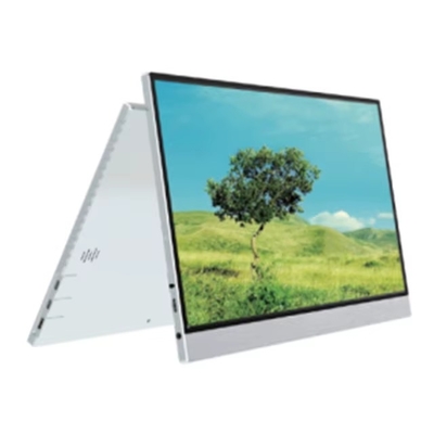Guter Preis 15.0-Zoll-Portabelmonitor 1920*1080 Hochfarb-Gamut USB-C HDMI benutzerdefiniertes Logo-Monitor Online