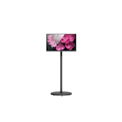 Guter Preis 23,8 Zoll Touchscreen-Monitor, tragbar - Gaming-Ready All-in-One Online