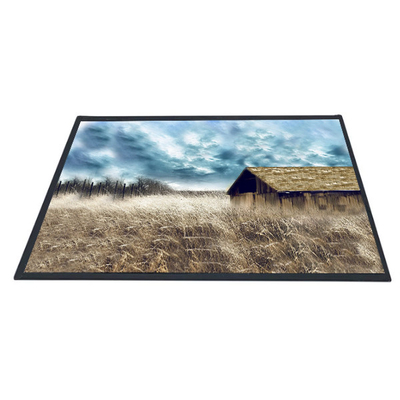 Guter Preis Zoll B101XAN01.2 1366x768 TFT LCD AUO 10,1 Platten-Schirm Online